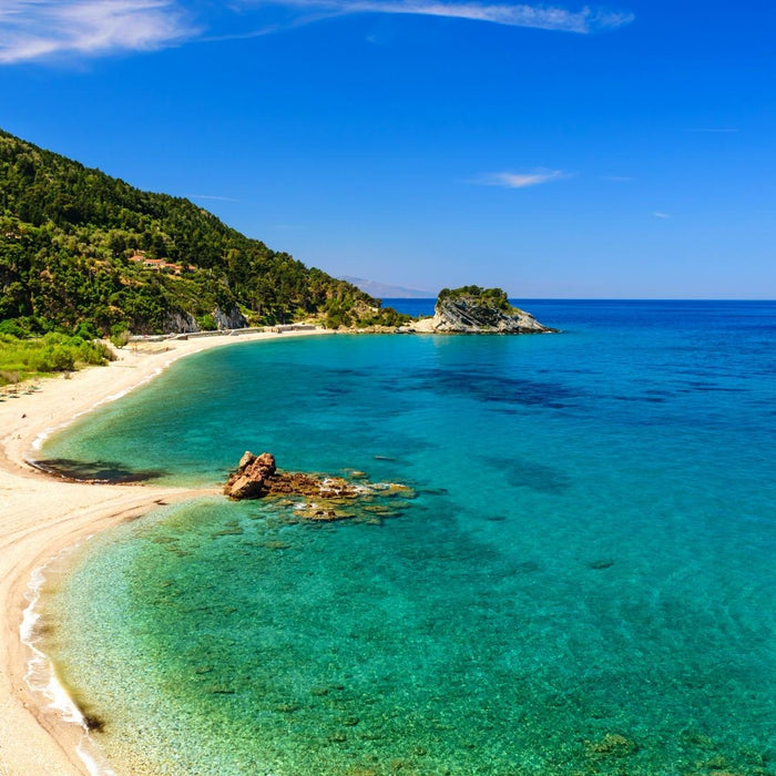 「健康・美肌・長寿の島の贈り物　奄美ごはん」 著者： 恵上イサ子｜Chef Works Japanブログ