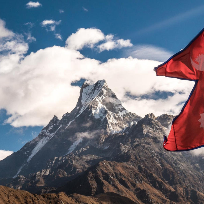 中目黒で注目のネパールレストラン「ADI」、ティーハウスやライフスタイルブランドの展開まで、愛され続ける理由とは。