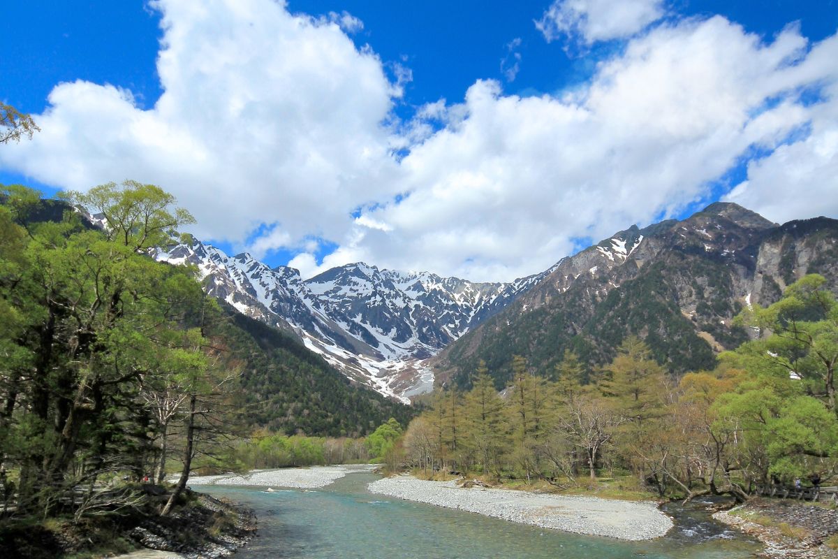 「Koma」山梨県北杜市・白州にオープンしたオーガニック野菜とフレッシュソイミートのデリカテッセン。